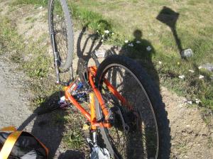 Bike in the course of repair